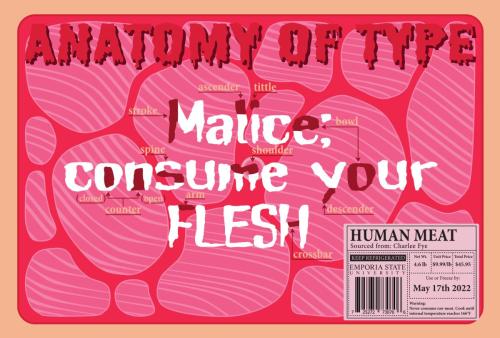 Fye typeanatomy final